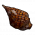 烤熟的马肉