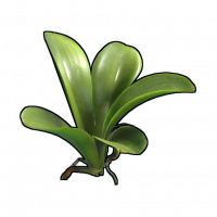 Clone.orchid.png