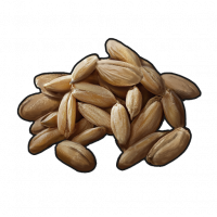 Seed.wheat.png
