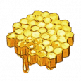 金色蜂巢.png