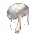 水母菇.png