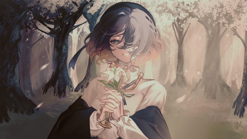 文件:Aniva end.png