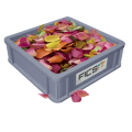 Flower Petals.png