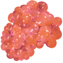 Paleberry.png