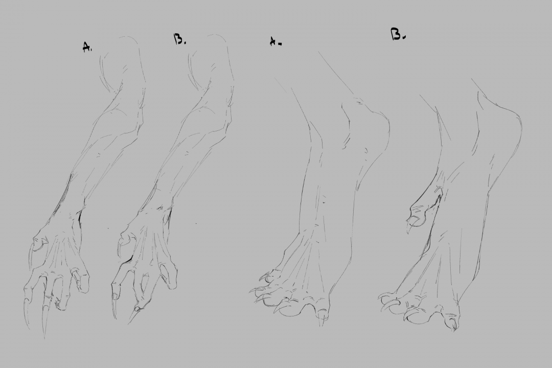 Limbs.png