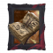 往日之影 被划掉的一页.png