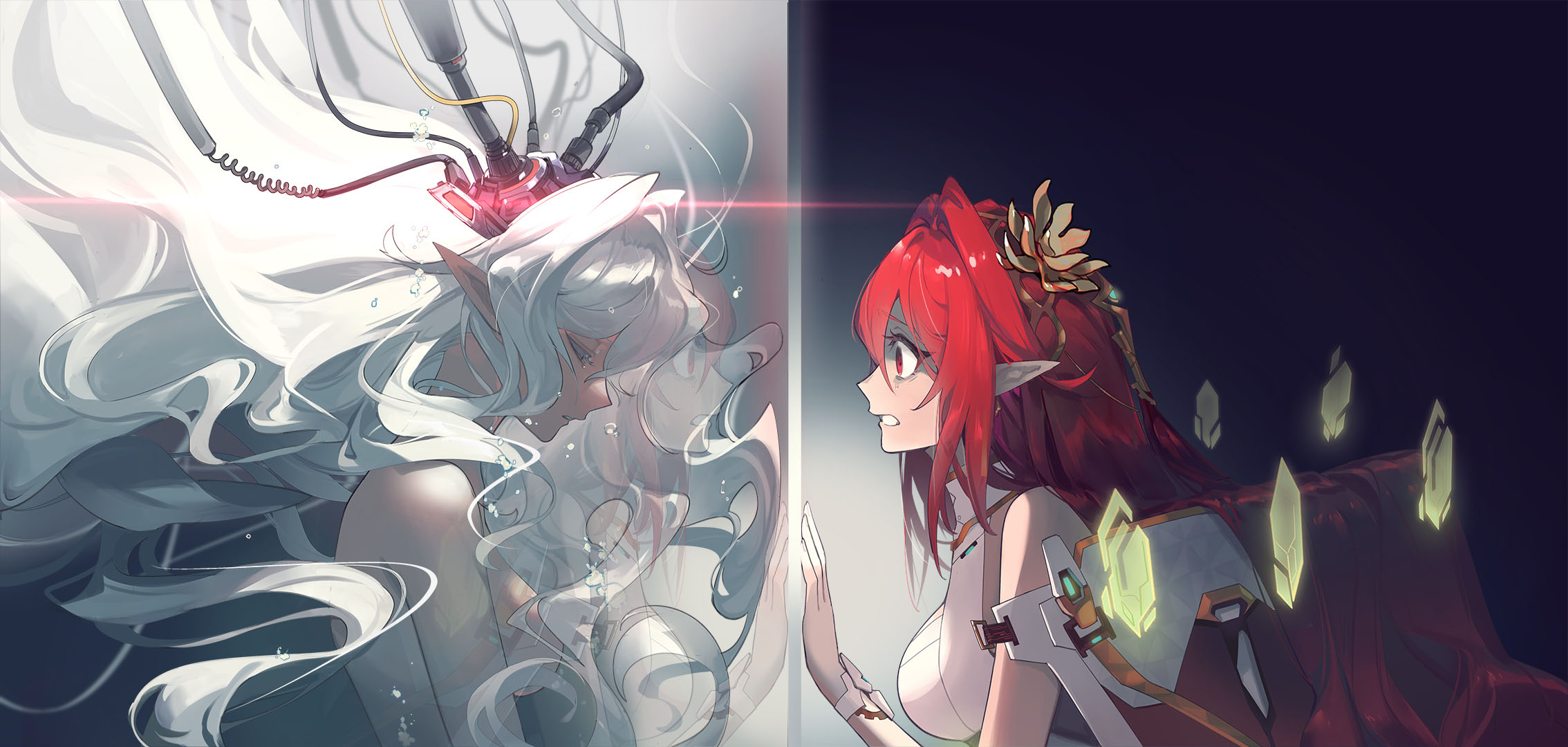 14 cg.jpg