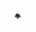 立绘-506.png