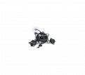 立绘-507.png