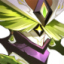头像-4445.png