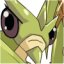 头像-3577.png