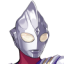 头像-4678.png