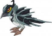 狂野黑鸟