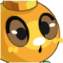 科尔