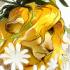 头像-4728.png