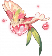 蜜桃鸟