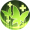 蝶粉.png