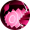刀疤烈咬.png