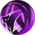 暗夜守护.png