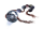 佛珠.png