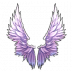 天使的羽翼
