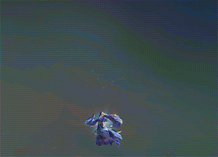 陌雪初晴-谋郭嘉-动态登场.gif