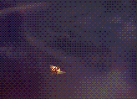 碧落玄鹄-诸葛尚-动态登场.gif