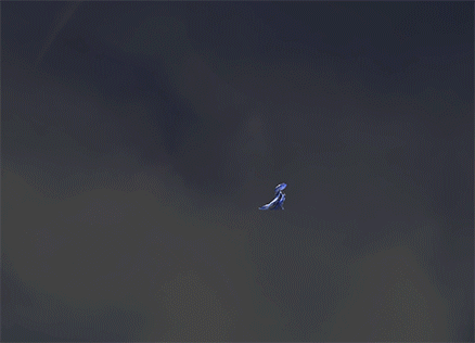 陌雪初晴-谋郭嘉-动态登场(至臻).gif
