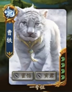 小白虎.jpg