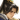 陈登-头像.png