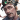 王衍-头像.png