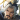界刘表 界刘表