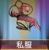 宝物私服.png