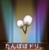 宝物蒲公英的美梦.png