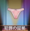 宝物犯罪证据.png