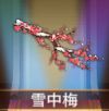 宝物雪中梅.png