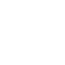 美丽羽毛 奥蕾娜 生命.png