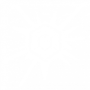 奇特的战利品图片