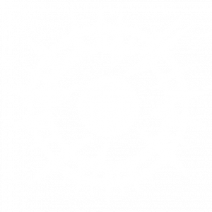 幻象破坏者图片