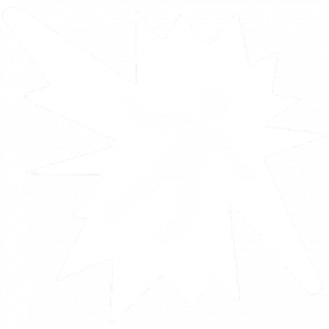 刺激体验 塞图斯 灵活.png