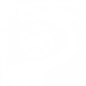 力量外泄 塞图斯 灵活.png