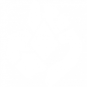 黄金遗产 奥蕾娜 灵活.png
