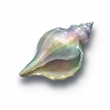 姆托贝.png