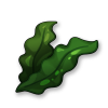 海带.png