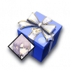 给风雅的礼物.png