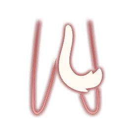 UI-颈饰-皮皮猫套装-无框.png