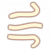 风先知