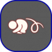 UI-晨岛动作-翻滚捣蛋鬼.png