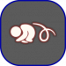 UI-晨岛动作-翻滚捣蛋鬼.png