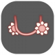 UI-耳饰-向日葵耳饰.png